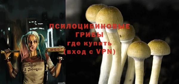 ПСИЛОЦИБИНОВЫЕ ГРИБЫ Верхний Тагил