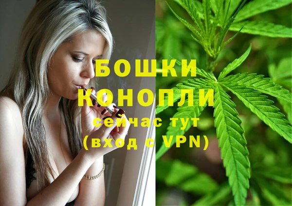 гидра Верея