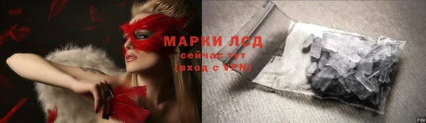 гидра Верея