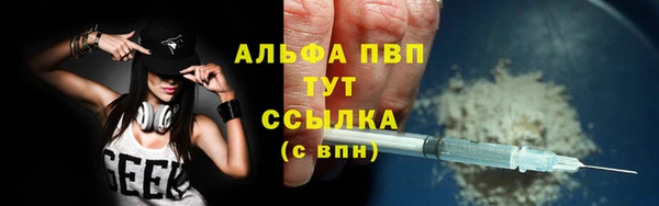 ПСИЛОЦИБИНОВЫЕ ГРИБЫ Верхний Тагил