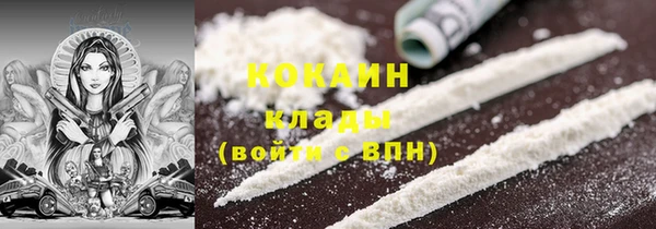 гидра Верея