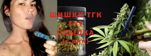 ПСИЛОЦИБИНОВЫЕ ГРИБЫ Верхний Тагил