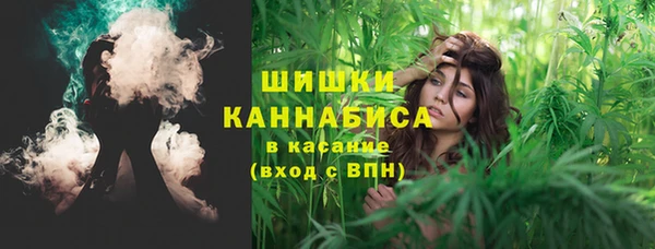 ПСИЛОЦИБИНОВЫЕ ГРИБЫ Верхний Тагил