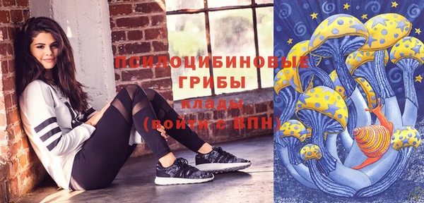 ПСИЛОЦИБИНОВЫЕ ГРИБЫ Верхний Тагил