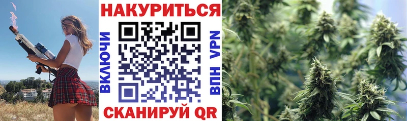 Каннабис MAZAR Нарткала